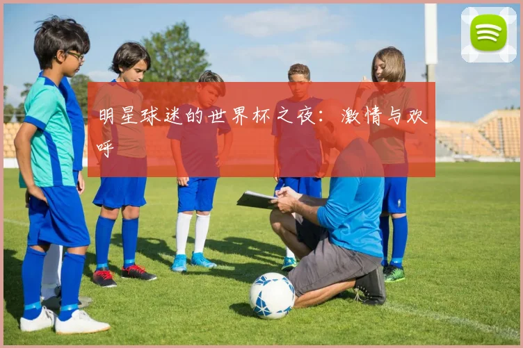 明星球迷的世界杯之夜：激情与欢呼