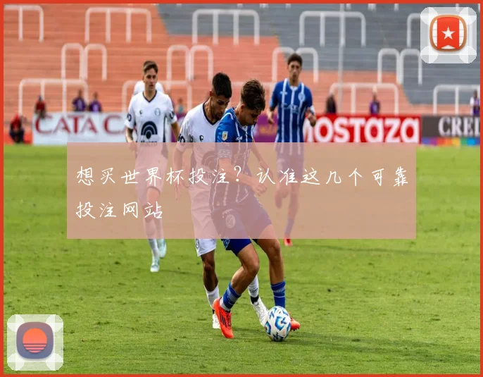 想买世界杯投注？认准这几个可靠投注网站
