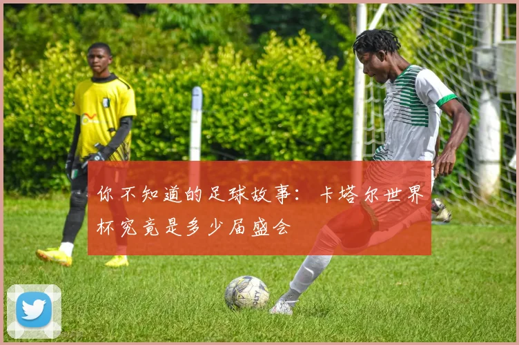 你不知道的足球故事:卡塔尔世界杯究竟是多少届盛会