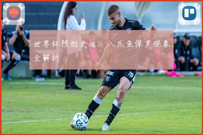 世界杯预测史话：八爪鱼保罗现象全解析