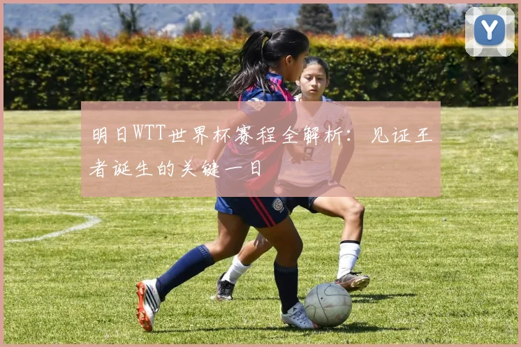 明日WTT世界杯赛程全解析：见证王者诞生的关键一日