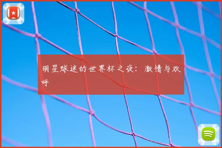 明星球迷的世界杯之夜：激情与欢呼