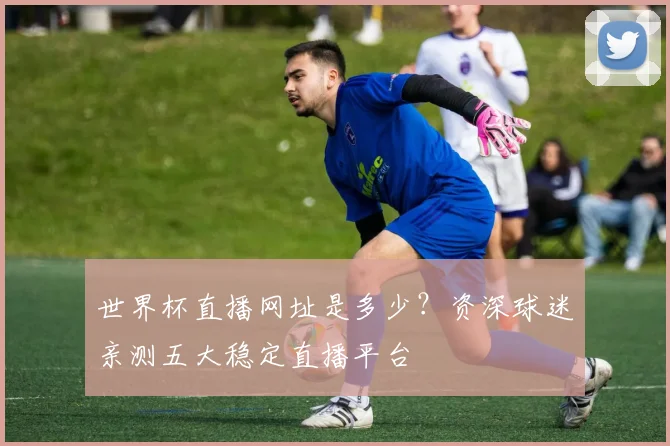 世界杯直播网址是多少?资深球迷亲测五大稳定直播平台