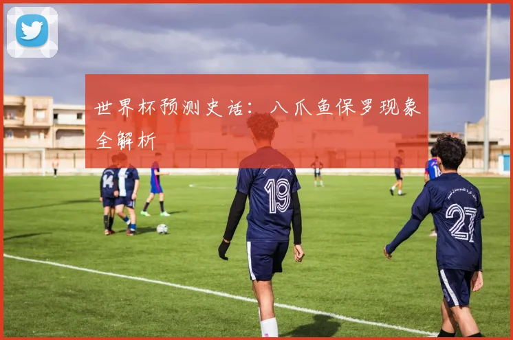 世界杯预测史话：八爪鱼保罗现象全解析