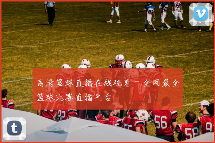 高清篮球直播在线观看 - 全网最全篮球比赛直播平台