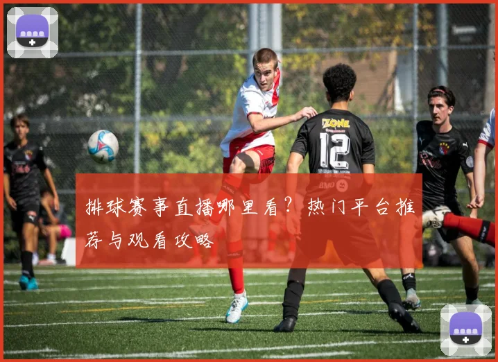 排球赛事直播哪里看？热门平台推荐与观看攻略