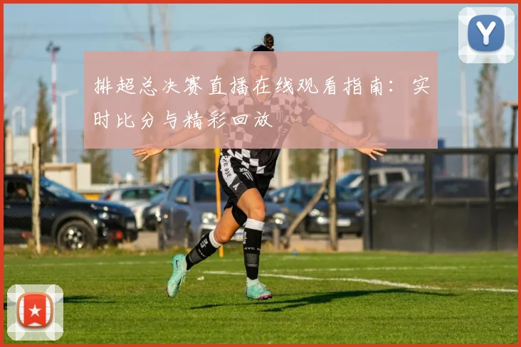 排超总决赛直播在线观看指南:实时比分与精彩回放