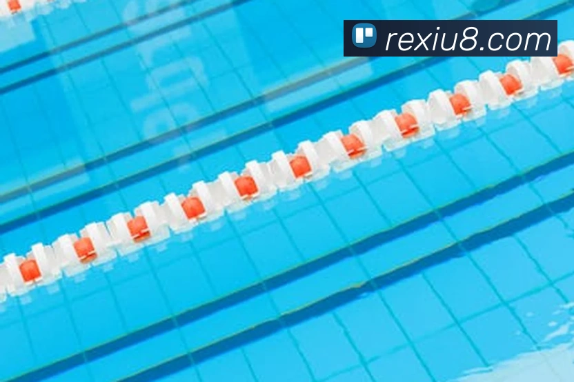 App Interface Preview