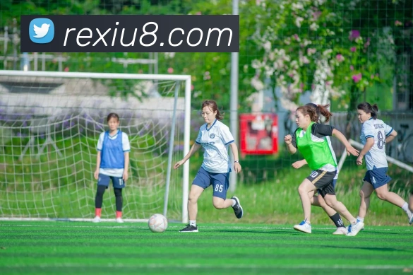 yy易游app官网APP 封面图